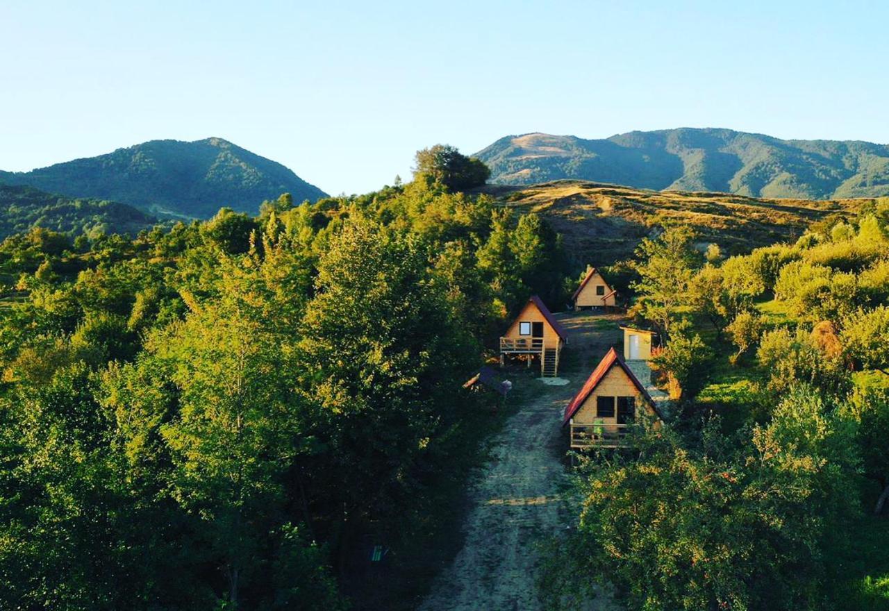 Cabanele Lu' Dinu Куртя-де-Арджеш Экстерьер фото