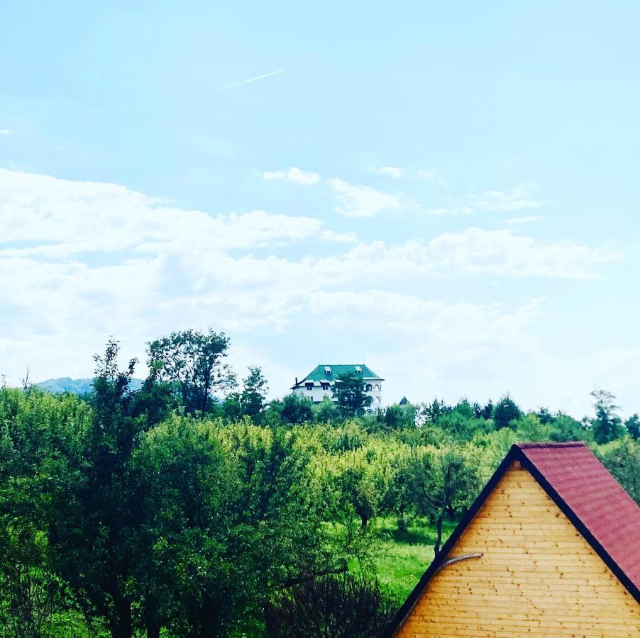 Cabanele Lu' Dinu Куртя-де-Арджеш Экстерьер фото