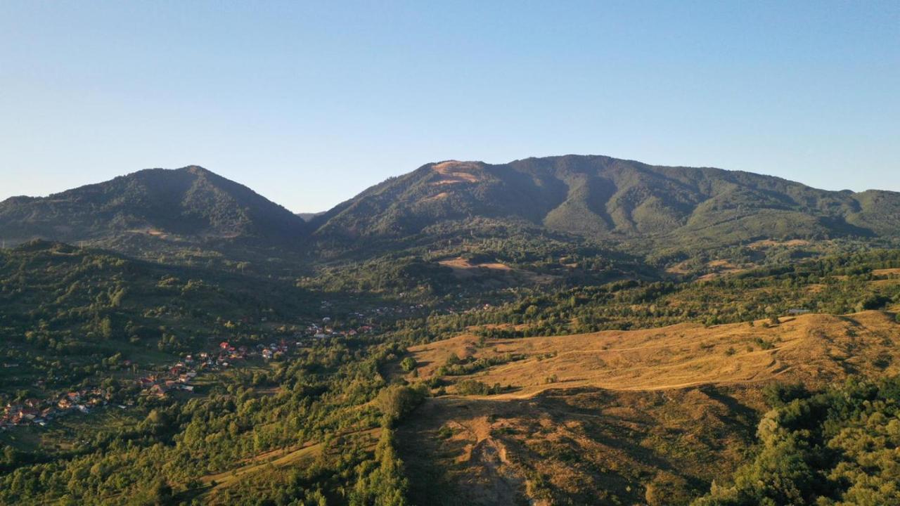 Cabanele Lu' Dinu Куртя-де-Арджеш Экстерьер фото