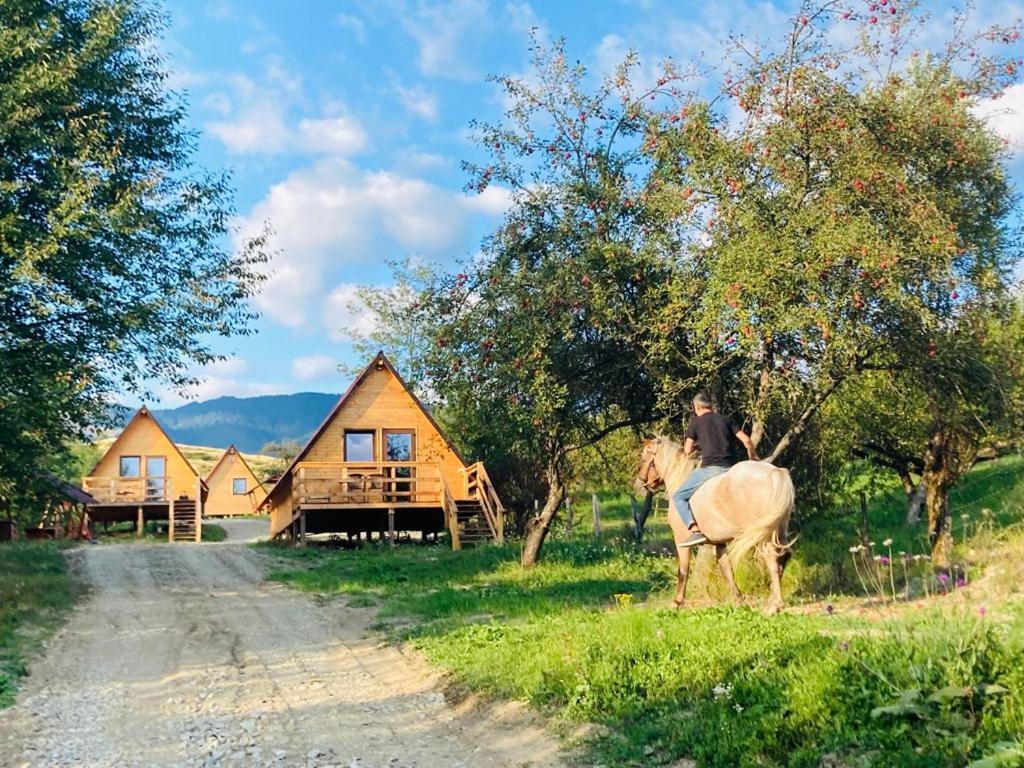 Cabanele Lu' Dinu Куртя-де-Арджеш Экстерьер фото
