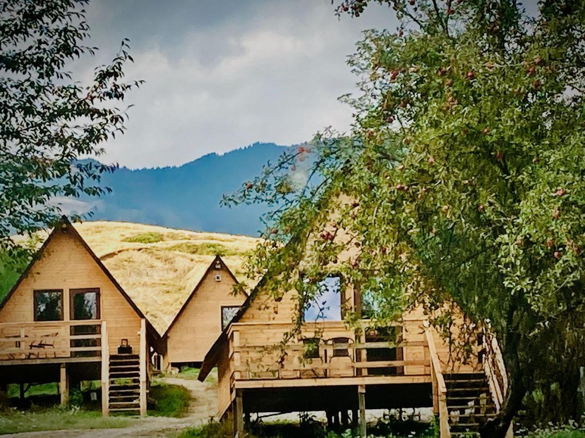 Cabanele Lu' Dinu Куртя-де-Арджеш Экстерьер фото