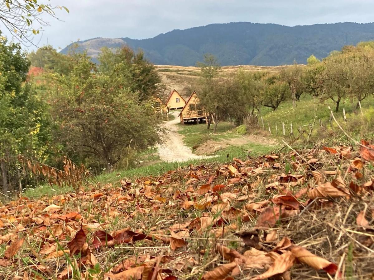 Cabanele Lu' Dinu Куртя-де-Арджеш Экстерьер фото