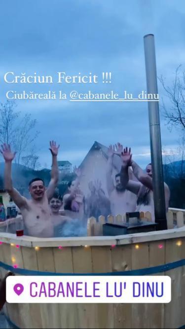 Cabanele Lu' Dinu Куртя-де-Арджеш Экстерьер фото