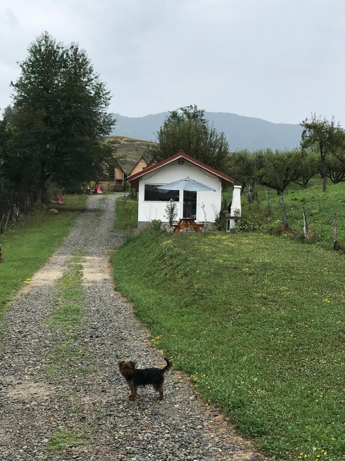 Cabanele Lu' Dinu Куртя-де-Арджеш Экстерьер фото